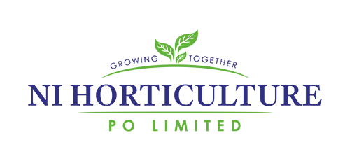 Killeenduff NS, Killeenduff, Co Mayo